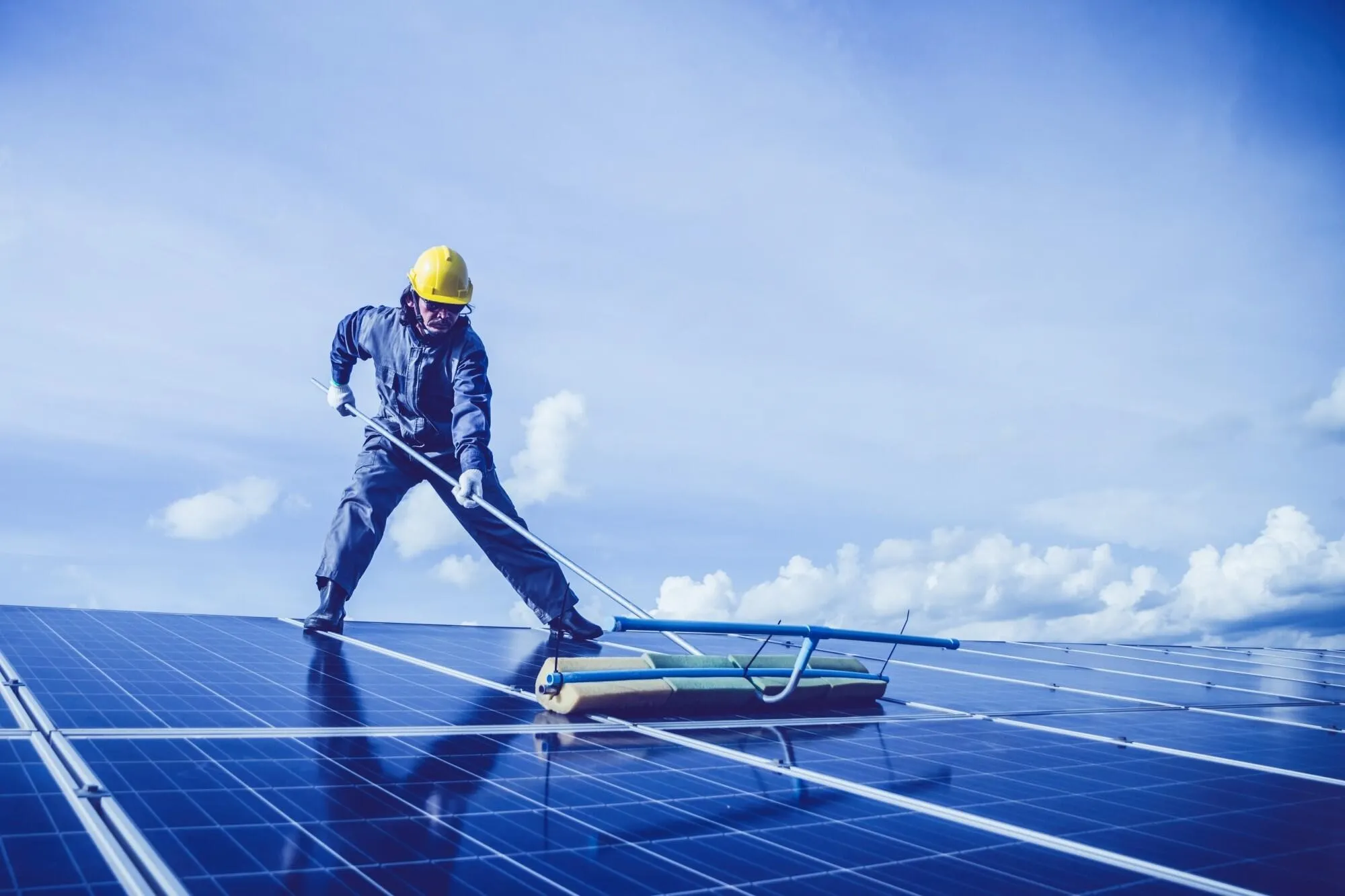 15 Best Solar Panel Brands to Consider in 2024